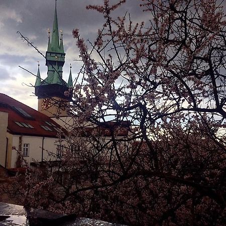 Althansky Palac Znojmo Εξωτερικό φωτογραφία